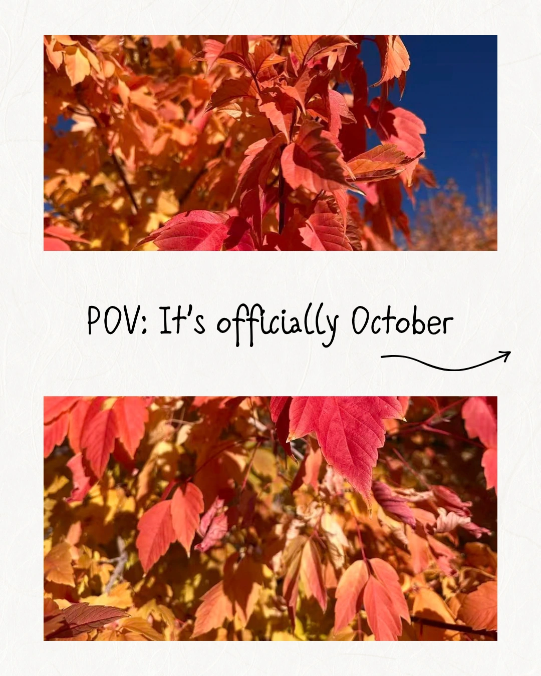 Officially October carousel cover: red autumn leaves and handwritten lettering on textured white paper